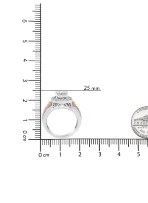 14K White and Rose Gold 1 1/8 Cttw Princess and Round-Cut Diamond Art Deco Style Triple Shank Halo Cocktail Ring (I-J Color, SI2-I1 Clarity) - Image 6