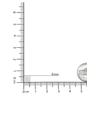 14K White Gold 1 1/2 Cttw Invisible Set Princess-Cut Diamond Contemporary Wavy Quad Stud Earrings (I-J Color, I1-I2 Clarity) - Image 6