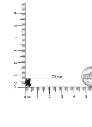 14K White Gold 3.00 Cttw Oval Cut Black Diamond Solitaire Stud Earrings (Black Color, I2-I3 Clarity) - Image 5